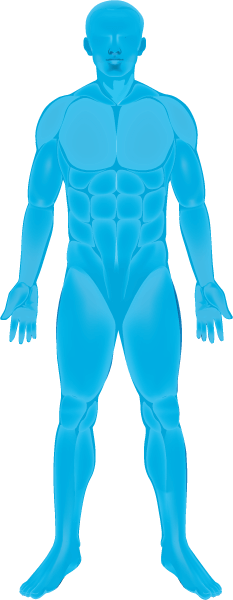 Manual / Manipulative Therapy